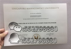 新加坡管理大学毕业证书学校给寄丢失了可以申请学校找回吗？